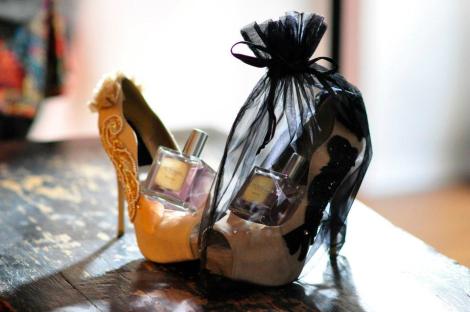 432343_240098236084859_240077709420245_493897_501932192_n