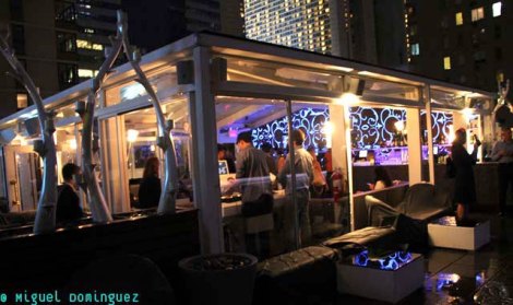 582707_450198021669402_1110661941_n